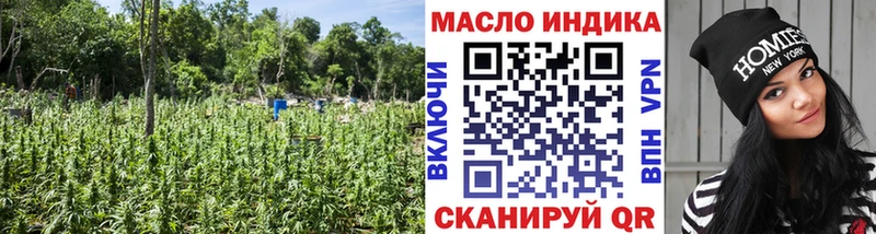 цены наркотик  Новоржев  ТГК концентрат 