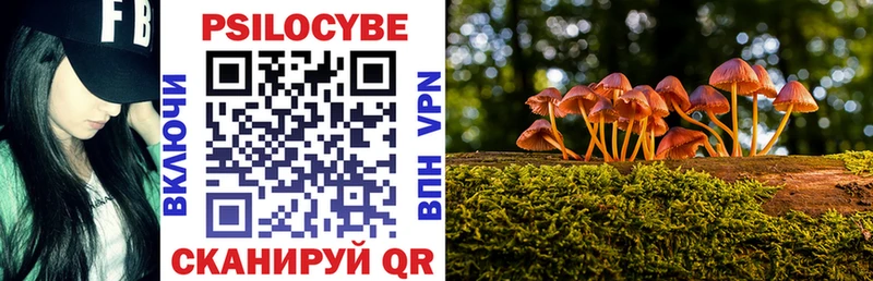 гидра как войти  Новоржев  Псилоцибиновые грибы Magic Shrooms 